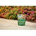 thumbnail image 5 of 6-pack Scotts All Purpose Flower and Vegetable Plant Food Granules - Continuous Release - 6 Pack, 3 lbs — Outdoor & Indoor Plant Use, Easy Application, 5 of 5