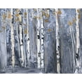 thumbnail image 2 of Swatland, Sally 14x12 White Modern Wood Framed Museum Art Print Titled - Modern Birch, 2 of 4