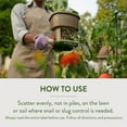 thumbnail image 6 of Garden Safe Brand Slug & Snail Bait Granules for Lawns Gardens and Greenhouses, 2 Pounds, 6 of 9