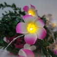 thumbnail image 4 of Guirnalda de luces de Frangipani de Dinheiro, Frangipani artificial, funciona con pilas, para fiestas de Navidad, bodas familiares y playa, 4 of 5