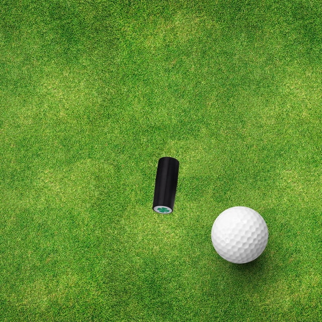 Houderco Stamp Golf Ball Negro Con Estampado Y Materiales Plásticos Duraderos