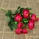 thumbnail image 2 of Carro Portamangueras Ajustable | Organizador de Mangueras | Almacena y Transporta Mangueras de Jardín | Uso Exterior para El Mantenimiento Del Césped, Las Plantas y Las Herramientas, 2 of 4