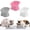 white, gray, pink, variant on shuaien 3 Pcs Raised Cat Food Bowls with Silicone Mat, 15-Degree Tilted Elevated Cat Bowls for Indoor Cats, Backflow Prevention Anti-Vomiting Whisker Friendly PP Cat Food Bowl for Kitten Puppies