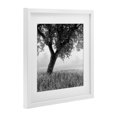 thumbnail image 2 of Stupell Industries Traditional Tuscan Morning Oak in Mist White Framed Print Under Glass, 16 x 16, by Chip Forelli, 2 of 8