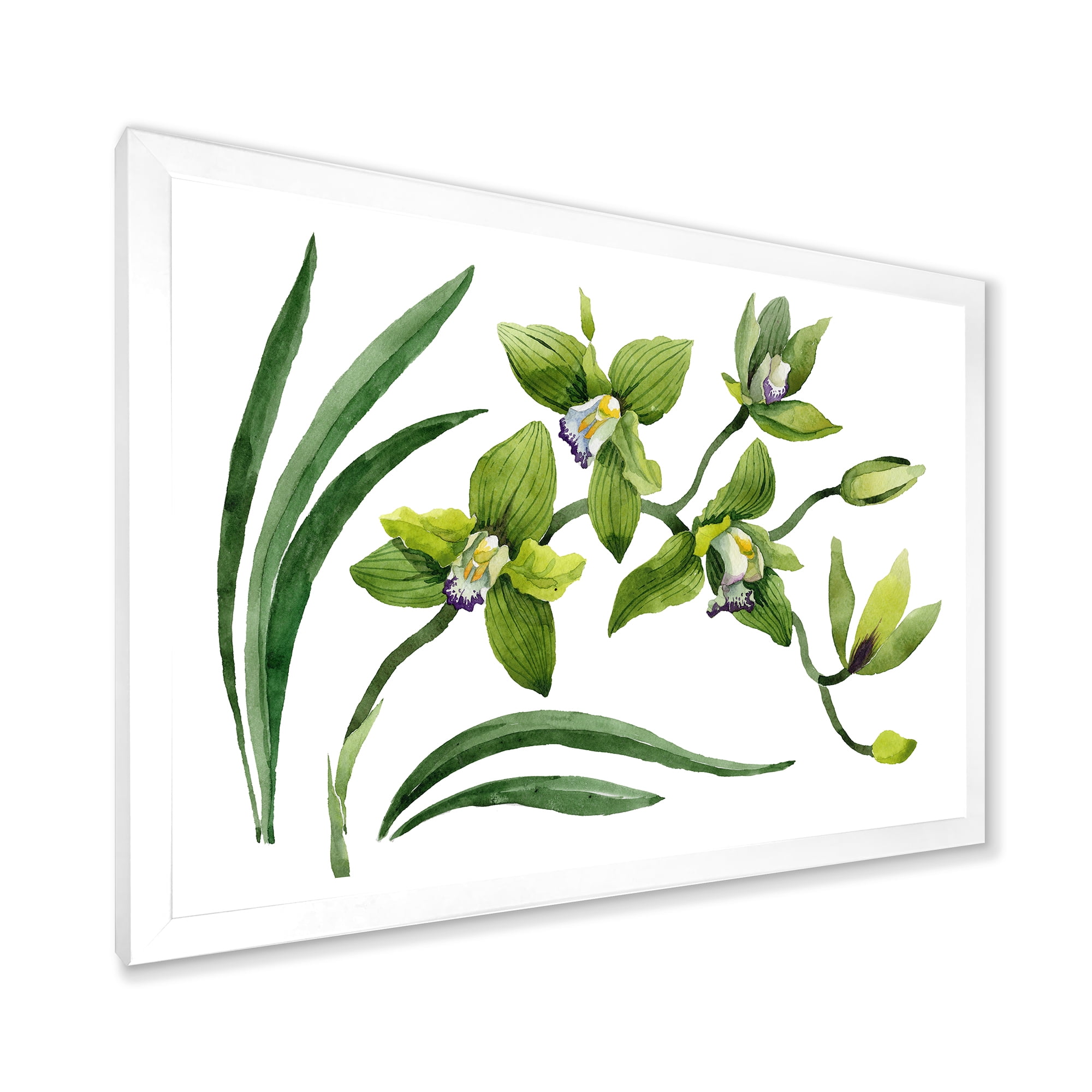 Designart 'Green Orchid Flowers On White' Traditional Framed Art Print