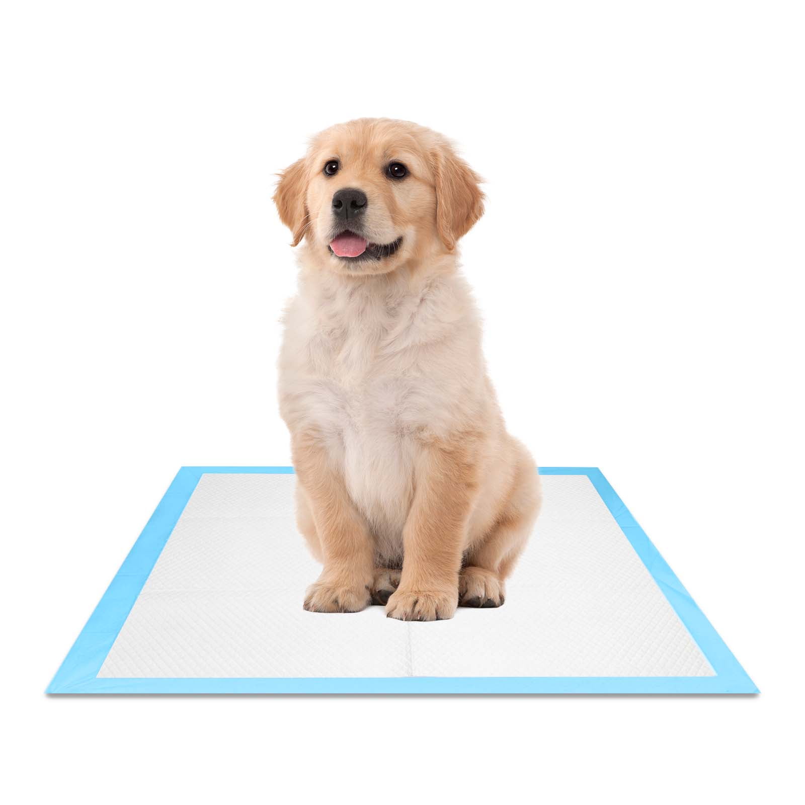Petfamily Puppy Pads, Dog Training Pads, Super Absorbent 24 in x 24 in, 100 Count