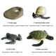 thumbnail image 4 of Figuras de acción de PVC para niños, modelos de animales de simulación, minifiguras de gallo, hormiga, rana, tortuga, mosquito, ciclo de crecimiento, 4 of 7