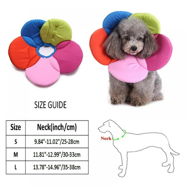 Cat dog cone online