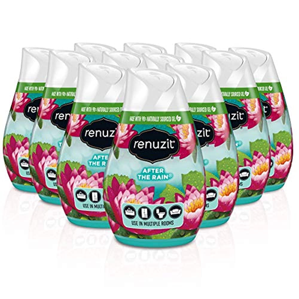 Renuzit Gel Air Freshener After The Rain Total Air Fresheners 7 Ounce Pack of 12