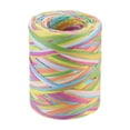 thumbnail image 1 of Uxcell Raffia Paper Craft Rope Handmade Twisted Paper Craft String for Decoration Gift Packaging Light Blue, Green, Bright Green, Yellow, Orange, Peach Pink, 1 of 1