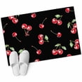 thumbnail image 2 of 2x3 Door Mat Rug, Cherry Rustic Non-Skid Rubber Backing Large Rectangle Rugs - Living Room Bedroom Home Office, Spring Summer Tropic Fruit Black Indoor Floor Mat Carpets Washable Rug, 2 of 9