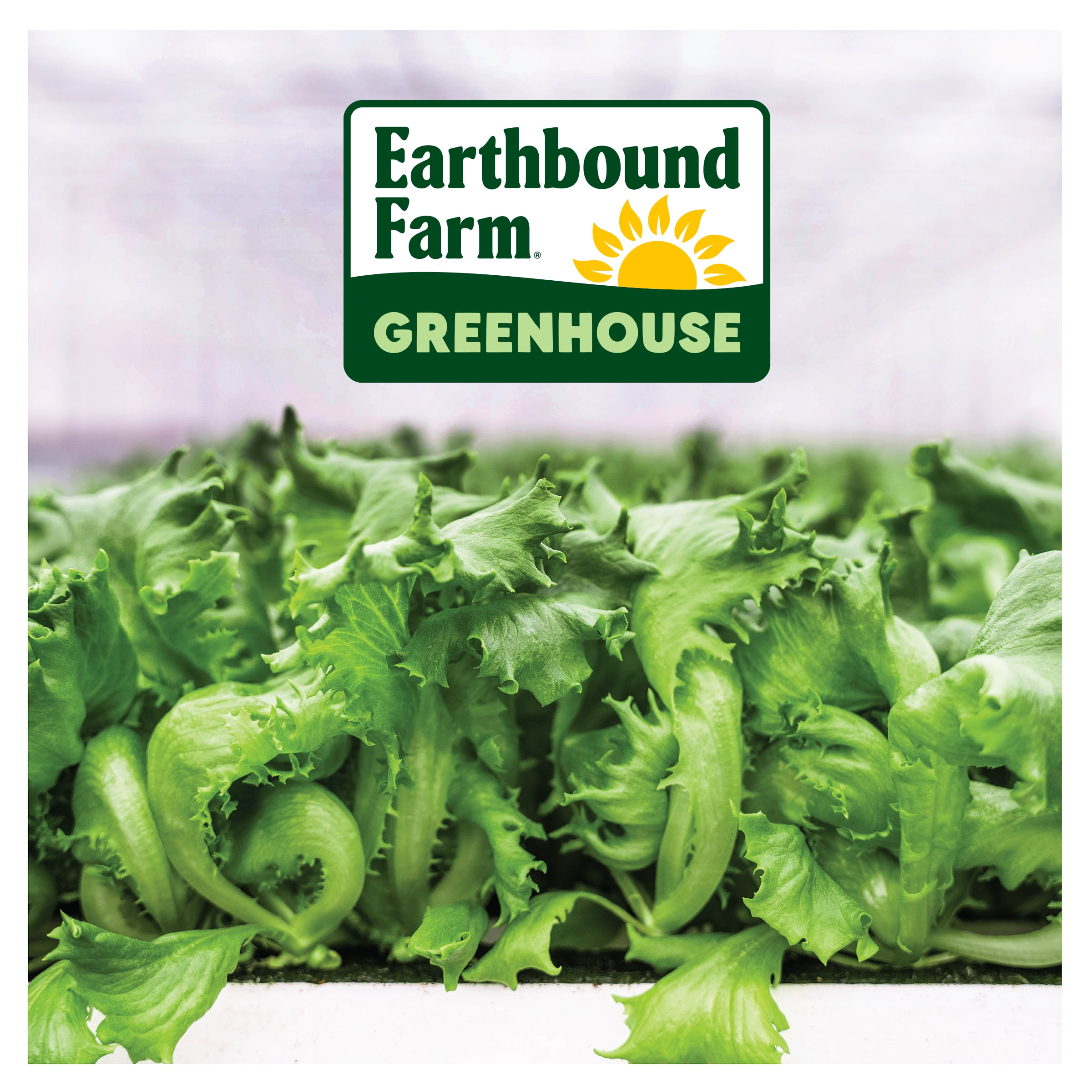 Earthbound Farm Crispy Greenhouse Lettuce 4 oz