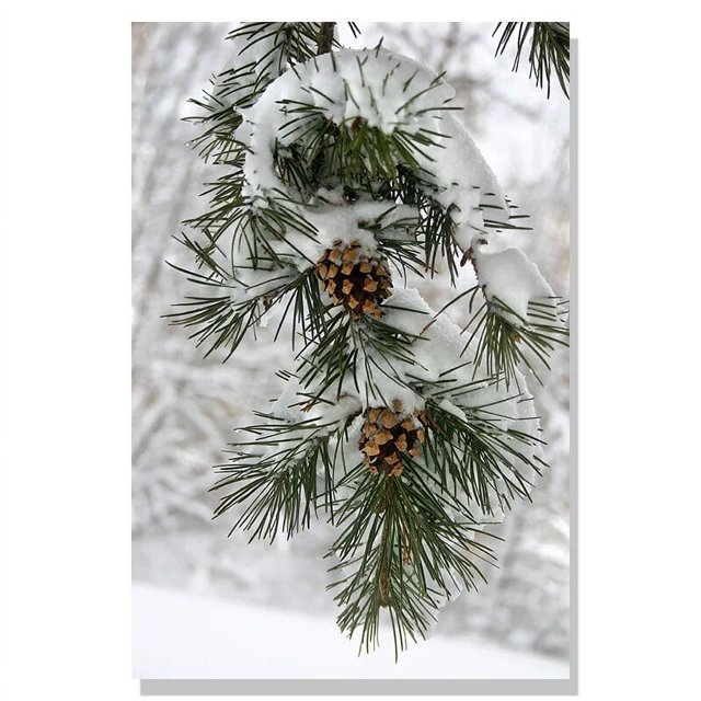 Arte de pared pintura en lienzo regalo de Navidad, casa verde, ciervo, ardilla, carteles nórdicos e impresiones, imágenes de pared para decoración de sala de estar