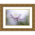 thumbnail image 1 of Disher, Mandy 14x11 Gold Ornate Wood Framed with Double Matting Museum Art Print Titled - Nemorosa, 1 of 4