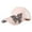 Pink, variant on FhsagQ Hats Winter Hats for Women Fashionable Wool Flower Metal Hair Side Combs Slide Hair Clips with Teeth Floral Hair Bows Hairpins Grips Barrettes Clamps Headpieces for Women Girls Red One Size