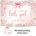 thumbnail image 6 of 10 x 8 ft Pink Bow Girls Baby Shower Backdrop A Sweet Little Girl is on The Way Pink Floral Baby Shower Decor Photography Background It's A Girl Party Photo Backdrop Studio Decoration Supplies, 6 of 6