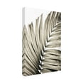 thumbnail image 4 of Trademark Fine Art Mareike Bohmer  Palm Leaves 22 Canvas Wall Art, 4 of 4