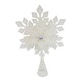 thumbnail image 1 of Punta de Árbol Holiday Time Snow WH22203H, 1 of 4
