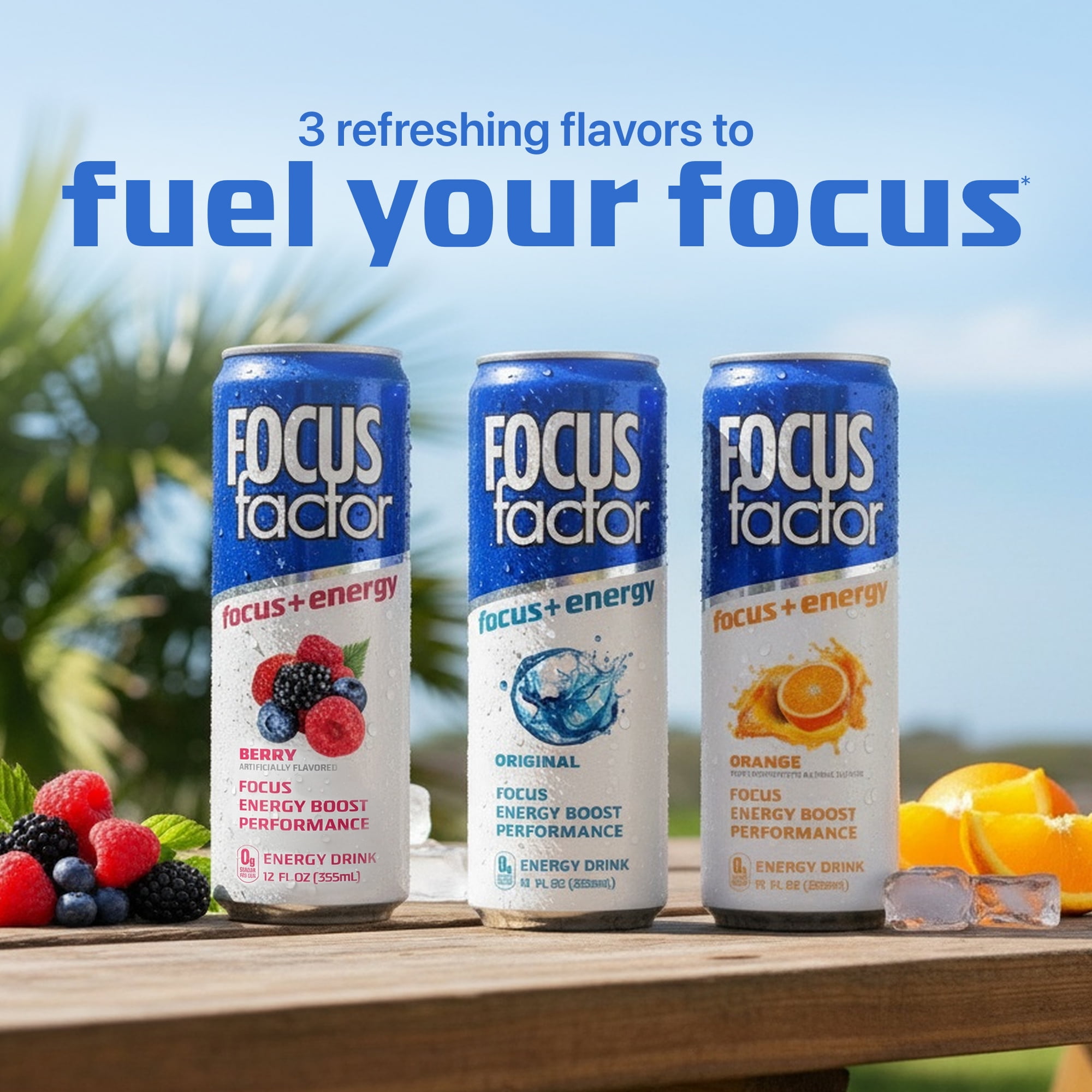 Focus Factor Energy Drink - 12 x 355ml Cans (Orange Flavor) - with Focus + Energy - Sugar Free, Low Calorie with Vitamin B6 & Vitamin B12