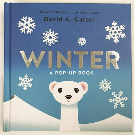 Winter : A Pop-up Book (Best Boots For Chicago Winter)
