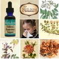 thumbnail image 2 of Birth Song Botanicals Children's Elderberry Respiratory Support Tincture, Herbal Immune Support, 1 oz, 2 of 7