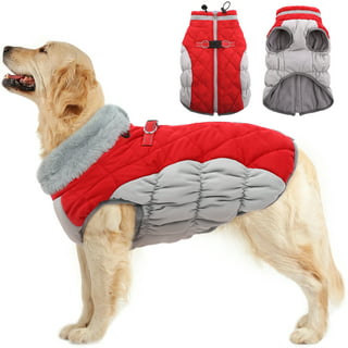 Outward Hound Granby Splash Dog Life Jacket and Vest, Orange, Extra ...