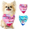 thumbnail image 4 of Dog Birthday Bandana Hat Scarf Set, Dog Birthday Party Supplies Dog Bandana Hat Scarfs Happy Birthday Banner with Cute Dog Bow Tie Collar for Boy Girl Puppy Birthday, 4 of 6