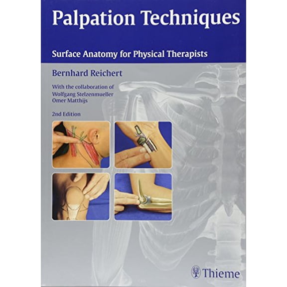 Pre-Owned Palpation Techniques: Surface Anatomy for Physical Therapists (Paperback) 3131463422 9783131463425