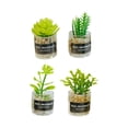 thumbnail image 1 of Plantas de Simulación a Escala 1:12 CUTICAT para Casa de Muñecas Estilo B, 1 of 8