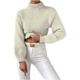thumbnail image 2 of Lilgiuy Women's Turtleneck Long-sleeved Casual Sweater Pullover Sweater for Photoshot, 2 of 5