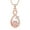 Rose Gold, variant on Infinity Urn Necklace for Human / Pet Ashes Cremation Urn Necklace with Paw Print Pet Memorial Ash Jewelry for Dog / Cat