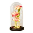 thumbnail image 2 of AYktou Roses Gifts Colorful Artificial Flowers Rose Light Gift in A Glass Dome,Flowers Gifts for Her on Anniversary Valentine's Day Mothers Day Girlfriend Birthday Gifts, 2 of 7