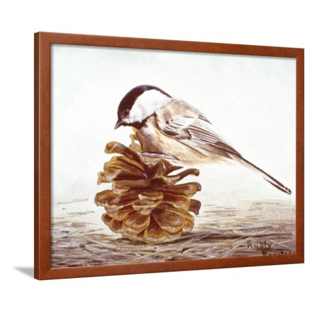 - Black-Capped Chickadee Framed Print Wall Art By Rusty Frentner