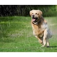 thumbnail image 4 of 7 Sensitivity Bark Collar For Dog, No Bark Collar, Training, 4 of 4