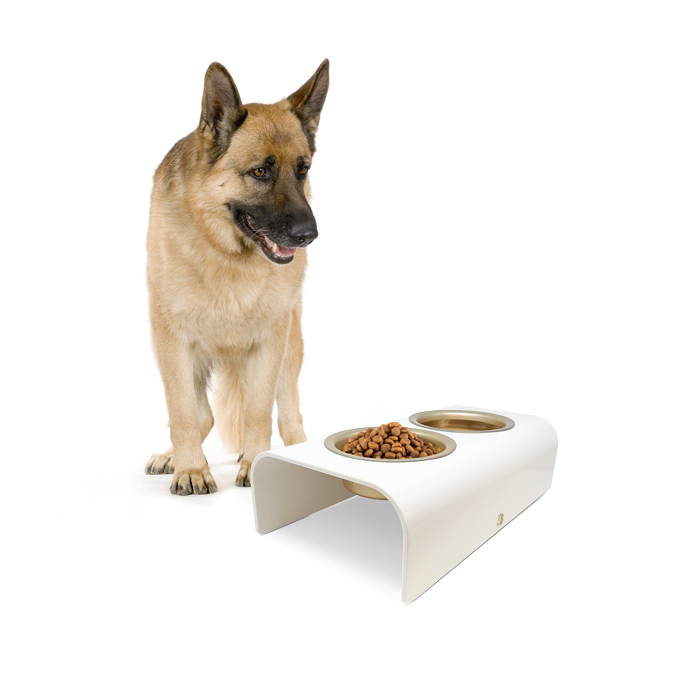 Beautiful by Drew Barrymore Double Elevated Pet Bowl with Stainless Steel Bowls, 4 Cup, Ivory