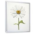 thumbnail image 2 of Designart "Sublime Simplicity with White Daisies I" Floral Floater Framed Wall Art Living Room, 2 of 7