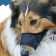 thumbnail image 4 of Neinkie Dog Muzzle for Small Dogs, Dog Muzzles for Biting Barking and Chewing Puppy Muzzle Nylon Soft Mesh Breathable Adjustable Loop Muzzle Anti-Dropping, 4 of 7