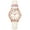Cream/Rose Gold-Tone, variant on Timex Women's Easy Reader Pink/Rose Gold 30mm Casual Watch, Leather Strap