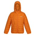 thumbnail image 2 of Regatta Boys/Girls Hillpack Hooded Jacket, 2 of 7