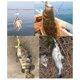 thumbnail image 5 of 15Pcs 35mm 0.3g Artificial PVC Lure Baits Smooth T-Tail Soft Fishing Lures - Orange White, 5 of 5