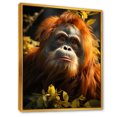 thumbnail image 2 of Designart "Sunlit Jungle With Orangutans" Orangutan Floater Framed Wall Art Prints, 2 of 5
