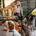 thumbnail image 7 of Wolfgang Heavy Duty, Adjustable Dog Collar with Quick Release Nylon Buckle for Walking & Training, Daydream Print, Large, 7 of 7