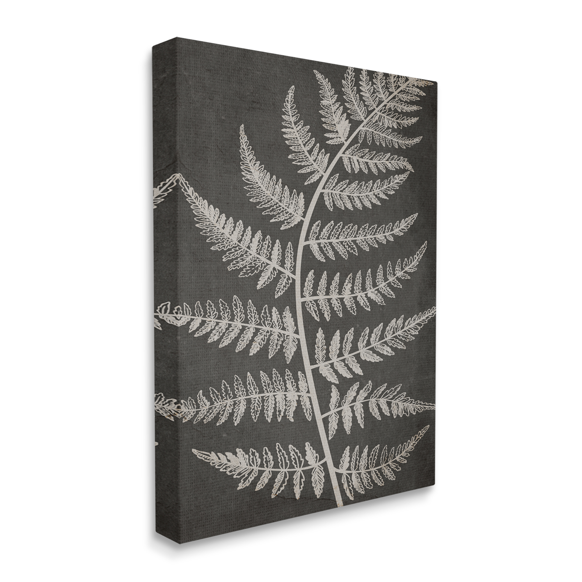 Stupell Industries Woodland Fern Outline Botanical & Floral Painting Gallery Wrapped Canvas Print Wall Art, 24 x 30