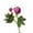 Purple, variant on Lifelike Peony 47cm Silk Flower Stem with Complete Bloom and Leaves Low Maintenance Floral Accent for Home Wedding and Daily Display, Home Decor Flower Stem, Peony Flower