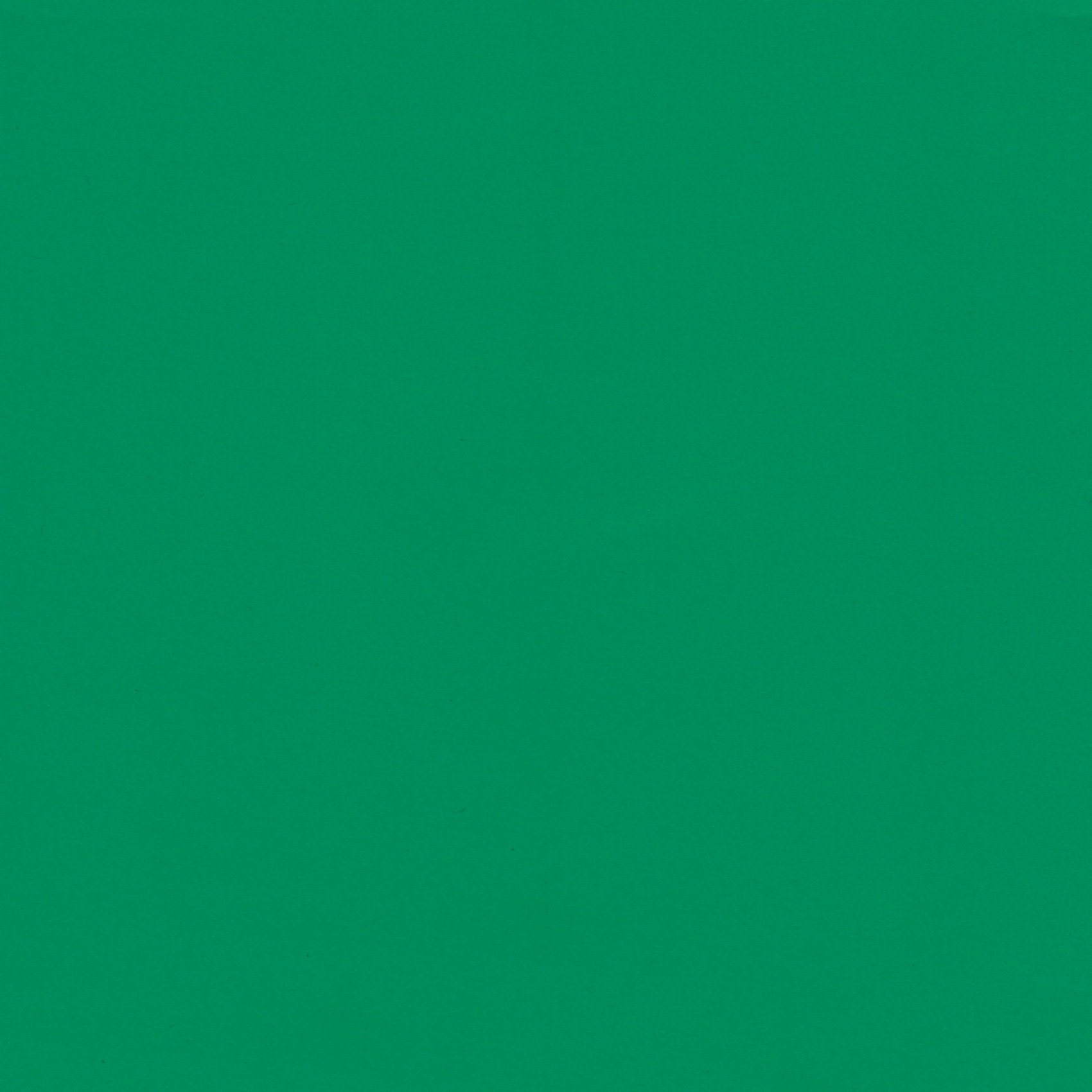 Green Cardstock 12 x 12 inch 65Lb Cover