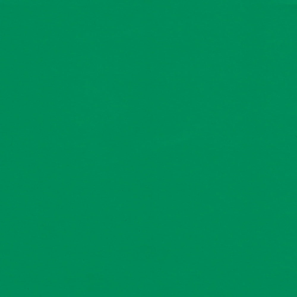 Green Cardstock 12 x 12 inch 65Lb Cover