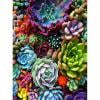 thumbnail image 2 of Cuadros Decorativos Pintura de diamante suculenta taladro redondo completo imagen de dibujo DIY de diamantes de imitación Ndcxsfigh Nuevos Originales, 2 of 8