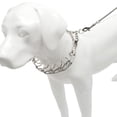 thumbnail image 2 of Stainless steel 304 dog chain neck ring, 2 of 2