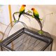 thumbnail image 3 of Jaula for loros Ultimate Luxury Villa Nueva casa for pájaros y nido, 3 of 5