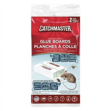 Catchmaster Glue Trap,8 1/2 in H,Bait Board,PK2 36-72